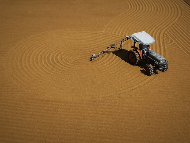 中標：金堂縣農業項目管理系統